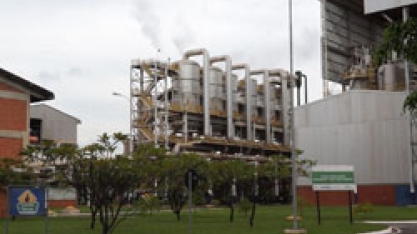 Usina Lins promove projeto de Adequação Ambiental