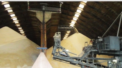 Produção acumulada de açúcar chega a 1,3 milhão de toneladas em Alagoas