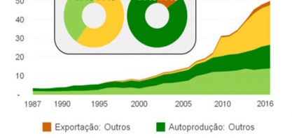 Trinta anos de bioeletricidade no Brasil e o potencial de exportação