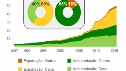 Trinta anos de bioeletricidade no Brasil e o potencial de exportação