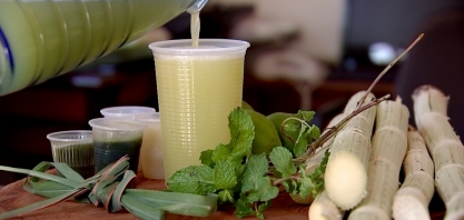 Produtor do Noroeste de São Paulo lucra com cana para garapa