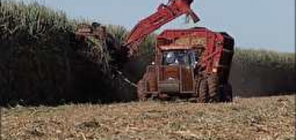 Safra de cana de açúcar deve cair 7% em Minas Gerais