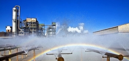 Setor já recuperou o equivalente a mais de 360 mil campos de futebol em matas ciliares