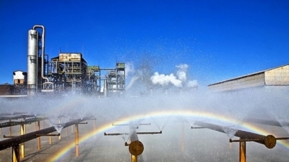 Setor já recuperou o equivalente a mais de 360 mil campos de futebol em matas ciliares