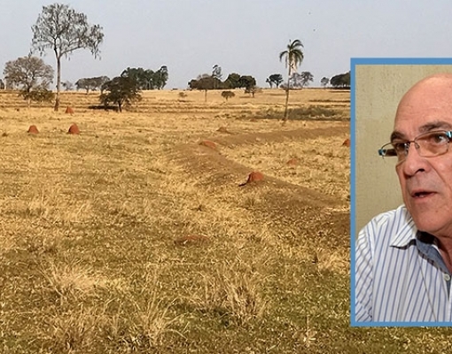 Fotos: Unesp Ilha Solteira/Divulgação e Dayse Maria/Folha da Região