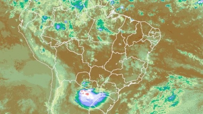 Excesso de umidade pode afetar concentração de sacarose da cana