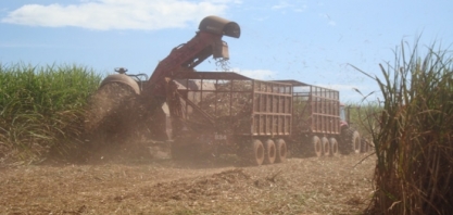 Agroconsult estima safra de cana 2017/18 em 620 milhões de t, alta de 2,5%