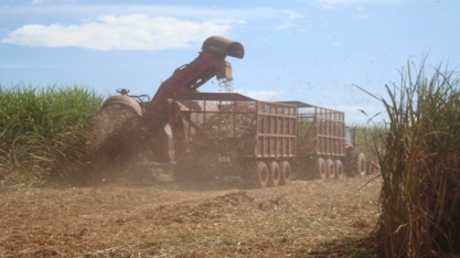 Agroconsult estima safra de cana 2017/18 em 620 milhões de t, alta de 2,5%