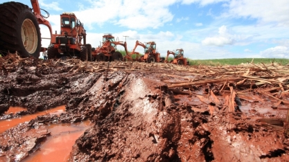 Preço valorizado do açúcar e caixa apertado incentivam a adoção de práticas prejudiciais à lavoura canavieira