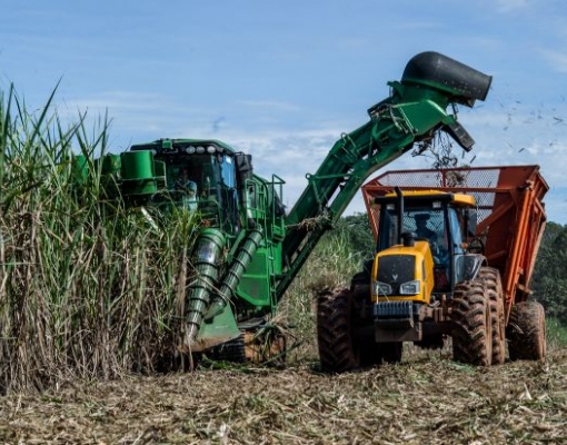 Foto: Mayke Toscano/Gcom-MT
