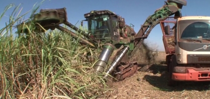 Queima que antecede a colheita da cana-de-açúcar está com os dias contados no Paraná