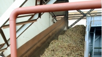 Safra 2017/2018 inicia mais alcooleira e com atraso na moagem