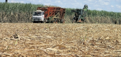 Previsão de chuva para outubro pode reduzir produção em canaviais de GO
