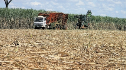 Previsão de chuva para outubro pode reduzir produção em canaviais de GO