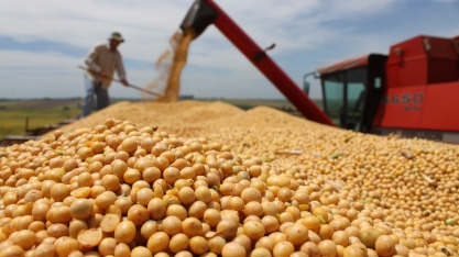 Safra 2016/17: sinal amarelo para os produtores de soja e milho