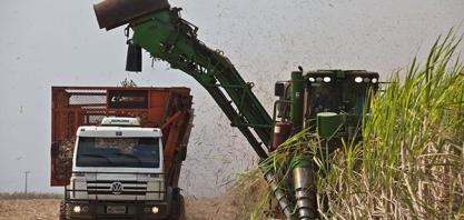 Moagem de Cana Registra Atraso de Quase 30 Milhões de Toneladas