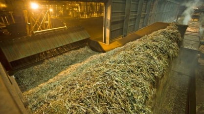 Moagem de cana chega a 151,2 milhões de toneladas na safra 17/18