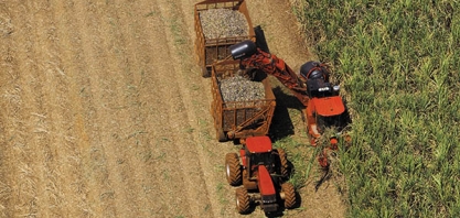 Moagem da Cana Tem Atraso de 16 Milhões de Toneladas