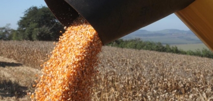 Etanol de milho será o próximo combustível do seu carro