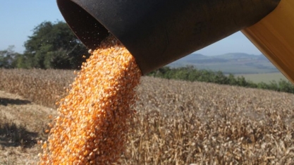 Etanol de milho será o próximo combustível do seu carro