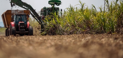 Cia Müller de Bebidas colhe a maior safra da sua história e passa a produzir cachaça 51 com 100% de cana própria