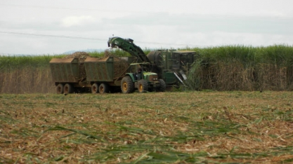Cana: emissão de GEE cai 44% em 25 anos