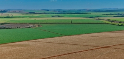 Unica estima safra 2016/17 de cana em 605 mi/t, abaixo da safra anterior