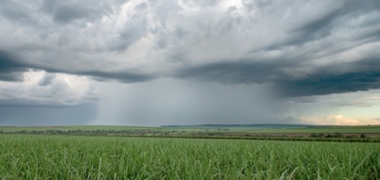 Chuvas no Centro-Sul e uma possível geada sustentam preços do açúcar