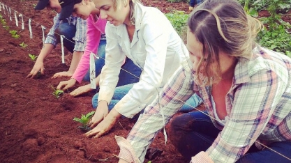 Elas são pau para toda obra!
