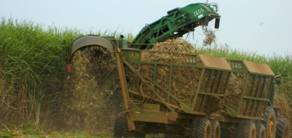 IBGE: safra de cana deve totalizar 712,1 milhões de toneladas em 2017