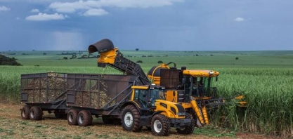Excesso de chuva paralisa colheita de cana-de-açúcar em São Paulo