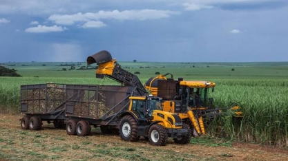 Excesso de chuva paralisa colheita de cana-de-açúcar em São Paulo