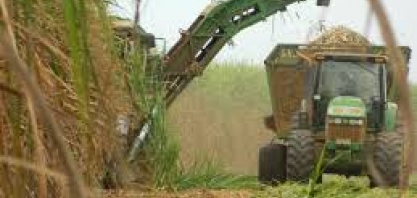 Conab inicia dia 30 o 2º levantamento da safra 2017/18 de cana-de-açúcar