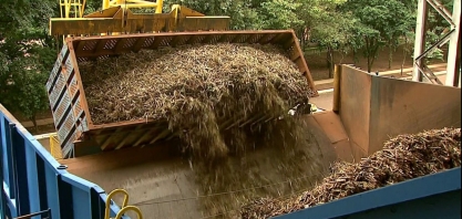 Usinas do Norte do Estado estão concentradas na moagem da cana-de-açúcar