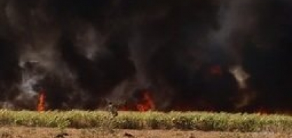 Queimadas causam prejuízo a pecuaristas e agricultores no sul de Goiás