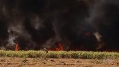 Queimadas causam prejuízo a pecuaristas e agricultores no sul de Goiás