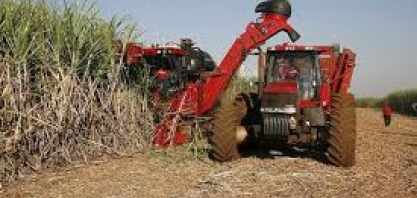 Safra de cana faz preços de etanol e gasolina caírem