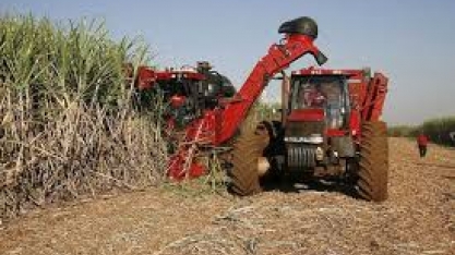 Safra de cana faz preços de etanol e gasolina caírem