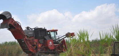 Condições climáticas desfavoreceram safra 2016/2017 da cana