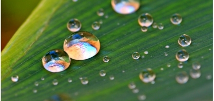 O setor sucroenergético tem o que comemorar neste 22 de março, Dia Mundial da Água