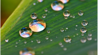 O setor sucroenergético tem o que comemorar neste 22 de março, Dia Mundial da Água
