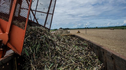 Em dez anos do Protocolo Agroambiental, setor canavieiro deixou de emitir 9,27 mi de toneladas de CO²eq com a colheita da cana