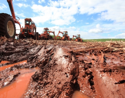 Chuvas atrasam colheita de cana na região Centro-Sul