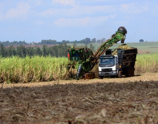 (Foto: Divulgação/Volvo)