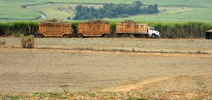 Mercado global aposta em colheita robusta de açúcar no Brasil em 2017