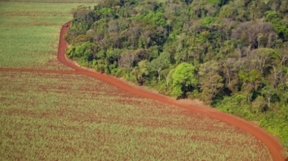 Novo Protocolo Agroambiental será assinado no Ethanol Summit