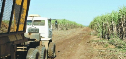 Minas Gerais terá produção recorde de açúcar nesta safra