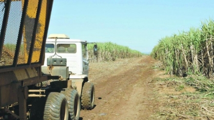 Minas Gerais terá produção recorde de açúcar nesta safra