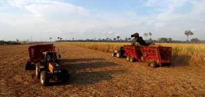 CDR examinará projeto que autoriza plantio de cana-de-açúcar na Amazônia