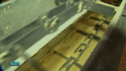 Conab divulga projeções para safra de cana-de-açúcar